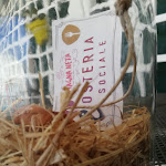 Photo n°7 de l'avis de Nadia.a fait le 20/09/2018 à 21:04 sur le  Circolo San Cassiano & Osteria Sociale MagnaNeta à Alba