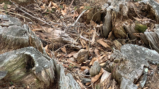 Park «Greycourt State Park», reviews and photos, 37 Pleasant St, Methuen, MA 01844, USA