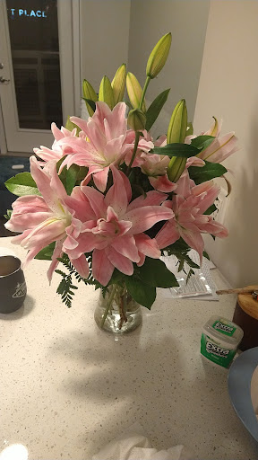 Florist «Chantilly Flowers», reviews and photos, 14514 Lee Rd E, Chantilly, VA 20151, USA