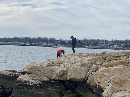 Park «Branford Point», reviews and photos, 4 Harbor St, Branford, CT 06405, USA