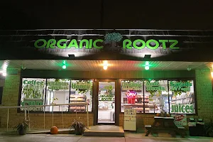 Organic Rootz juice bar and cafe image