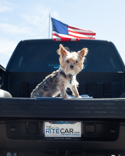 Used Car Dealer «The Rite Car LLC», reviews and photos, 4619 Old Hickory Blvd, Old Hickory, TN 37138, USA