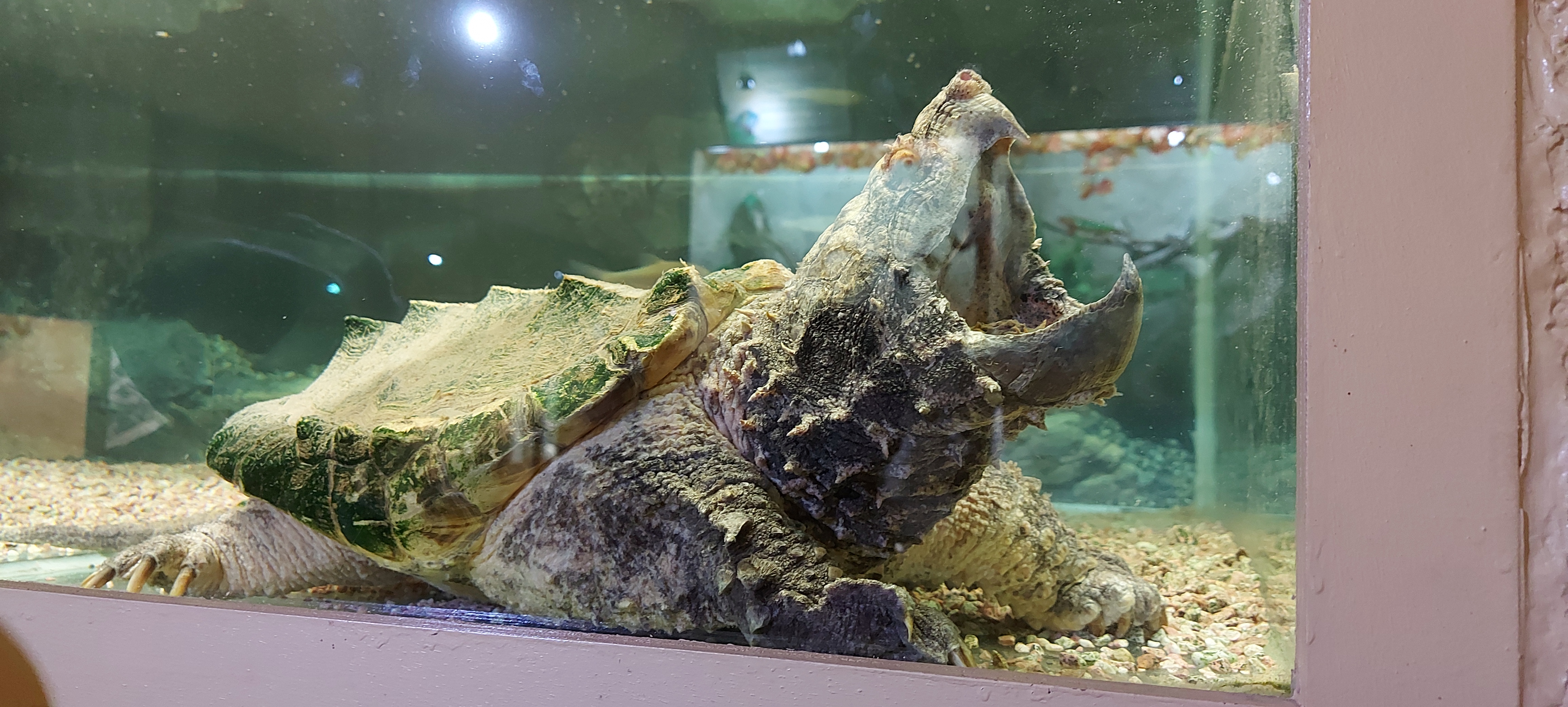 Photo n° 1 de l'avis de Sandrine.o fait le 11/07/2022 à 19:35