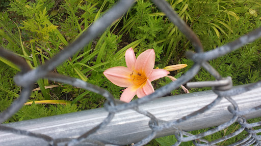 Movie Theater «College Point Multiplex Cinemas», reviews and photos, 2855 Ulmer St, Flushing, NY 11354, USA