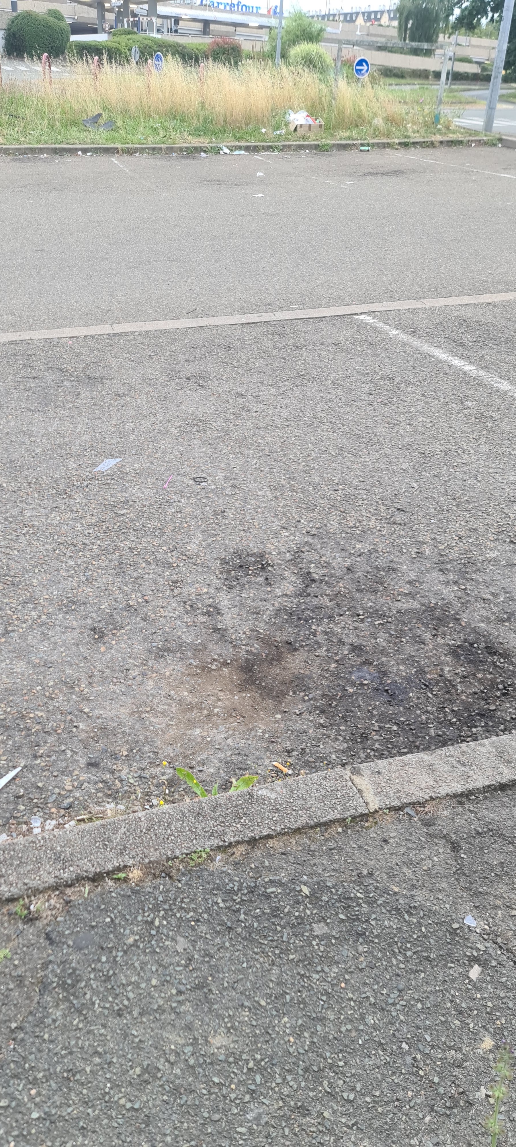 Photo n° 1 de l'avis de Shel.f fait le 20/04/2019 à 13:23