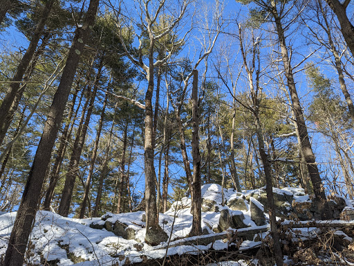 State Park «Wilson Mountain Reservation», reviews and photos, 384 Common St, Dedham, MA 02026, USA