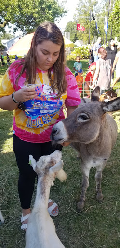 Heritage Museum «Museums at Lisle Station Park», reviews and photos, 921 School St, Lisle, IL 60532, USA