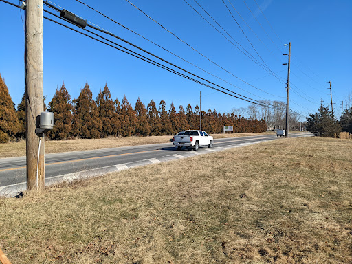 Winery «Bridge Lane Tasting Room», reviews and photos, 35 Cox Neck Rd, Mattituck, NY 11952, USA