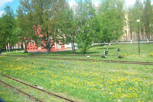 Children's Railway