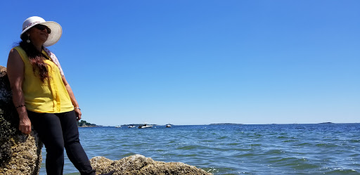 Garden «Lynch Park Rose Garden», reviews and photos, Lynch Park, Beverly, MA 01915, USA