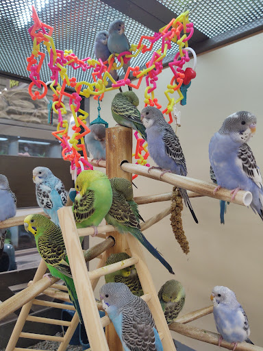 Shopping Mall «Tiffany Plaza Mall», reviews and photos, 7800 E Hampden Ave, Denver, CO 80231, USA