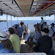 Southport Water Tours