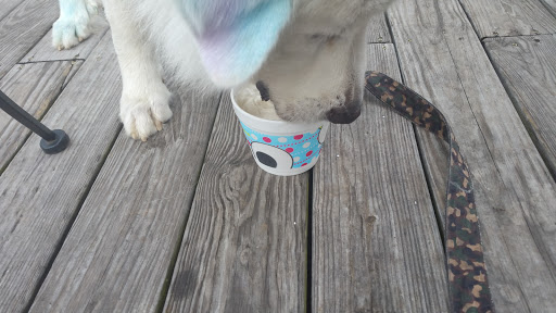 Frozen Yogurt Shop «sweetFrog Premium Frozen Yogurt», reviews and photos, 10040 Sliding Hill Rd, Ashland, VA 23005, USA