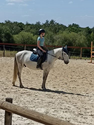 Centre équestre Poney club Atoucrin La Chapelle-d'Aligné