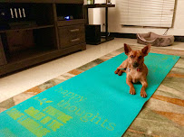 Mo'Asana Wellness - Photo 3 - Car repair in , Newport News