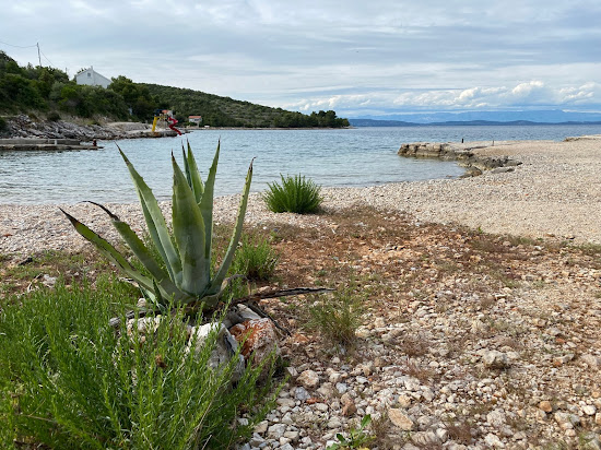 Zaglav Beach