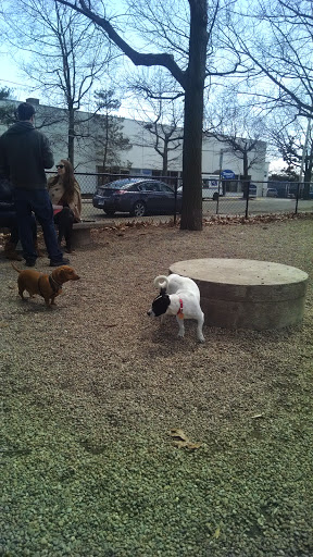 Park «Union Street Dog Park», reviews and photos, 59 Fair St, New Haven, CT 06511, USA