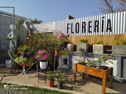 El Jardín Flores y Plantas