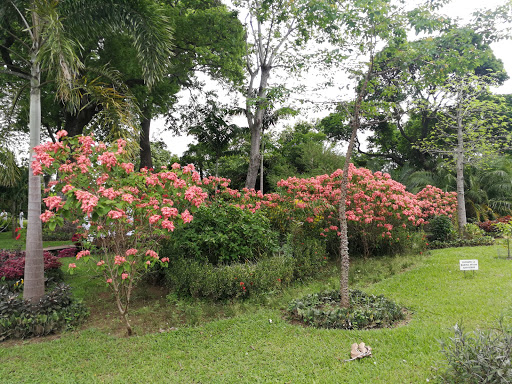 Santa Cruz de la Sierra Botanical Garden