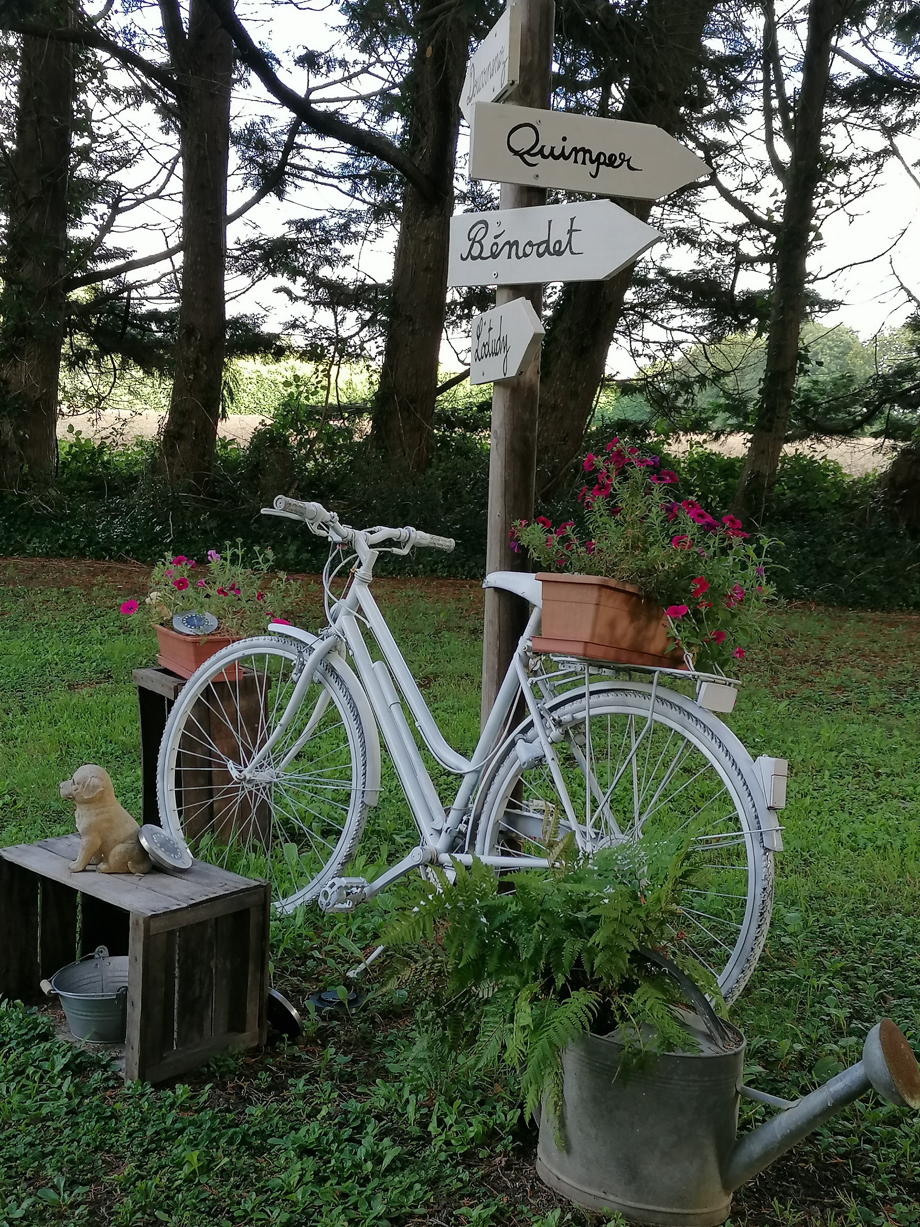 Photo n° 4 de l'avis de Alexandra.u fait le 28/08/2023 à 13:48