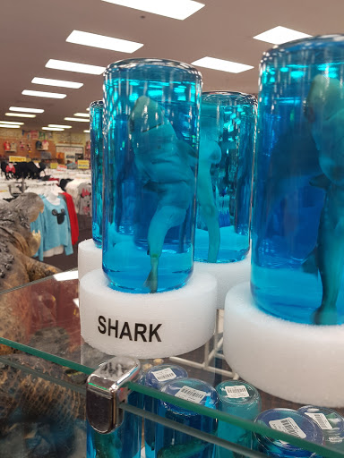 Grocery Store «Goodies Supermarket», reviews and photos, 8550 International Dr, Orlando, FL 32819, USA