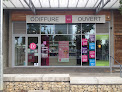 Salon de coiffure Sylvie Coiffure 54000 Nancy
