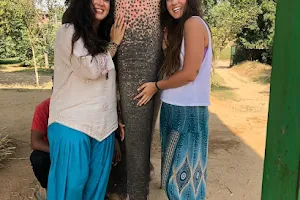 Elefantastic - The Best Elephant Wildlife Sanctuary in India image