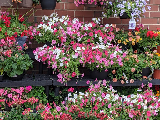 Shopping Mall «Bond Shopping Center», reviews and photos, 1891 S State Rd, Upper Darby, PA 19082, USA