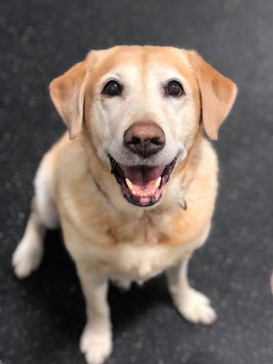 715 Commerce Way W, Jupiter, FL 33458, USA