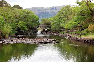 Muckross Lake Boat Tours image