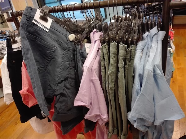 Springfield - SPF Man  Woman