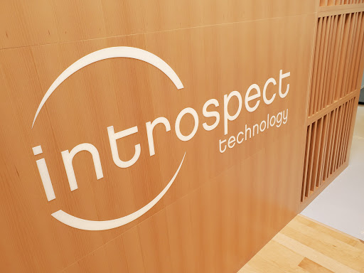 Introspect Technology