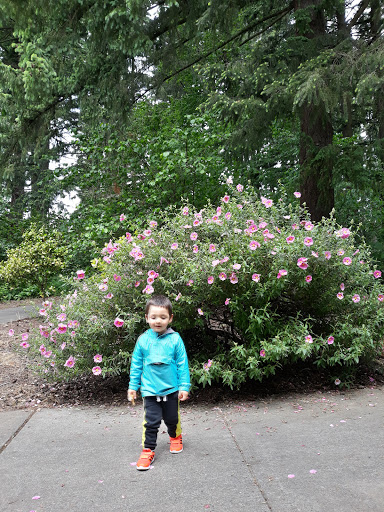 Park «EVERGREEN PARK», reviews and photos, 2615 NW 194th Terrace, Hillsboro, OR 97124, USA