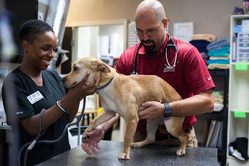 Animal Hospital of Mebane image