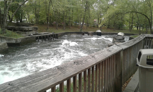 Amusement Park «Adventureland Park», reviews and photos, 3200 Adventureland Dr, Altoona, IA 50009, USA