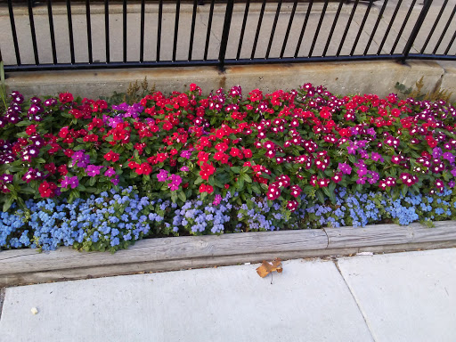 Community Center «Westchester Park District», reviews and photos, 10201 Bond St, Westchester, IL 60154, USA