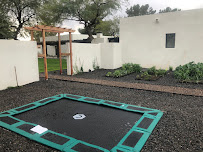 Green Iguana Landscaping