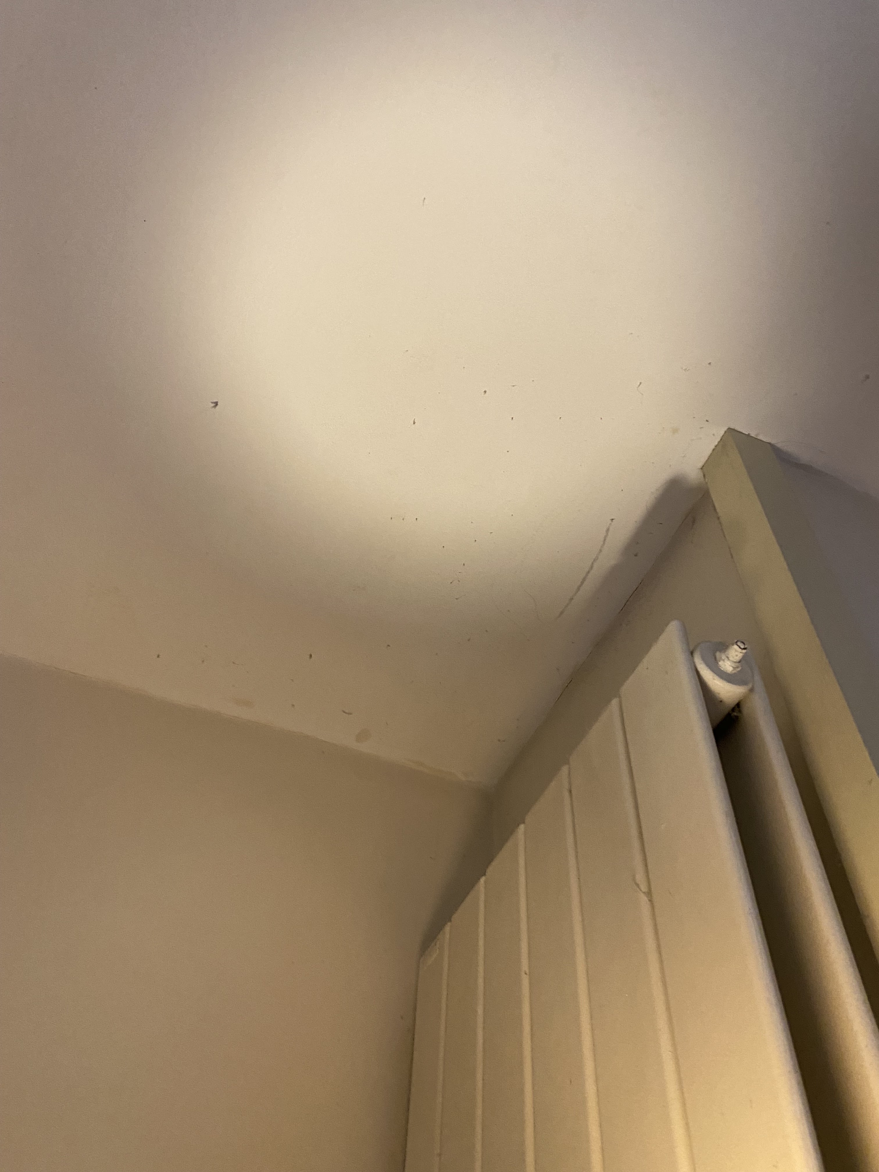 Photo n° 6 de l'avis de Elio.a fait le 29/10/2023 à 14:53