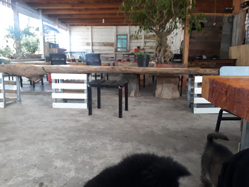 Nhà gỗ - Woodhouse