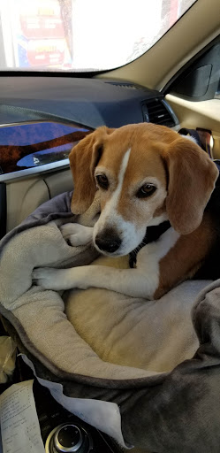 Car Wash «Seasuds Carwash», reviews and photos, 1426 23rd Ave, Seattle, WA 98122, USA