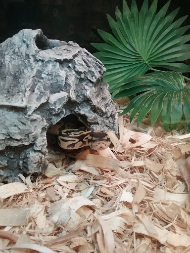 Pet Supply Store «PetSmart», reviews and photos, 11134 Parkside Dr, Knoxville, TN 37934, USA