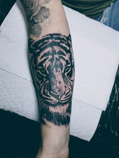 Explore marlin tattoo ideas, creative tattoo ideas in Columbus, available at Broken Tarot Tattoo Parlour