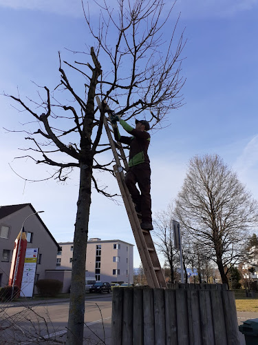 Kommentare und Rezensionen über STUTZ GARTENUNTERHALT