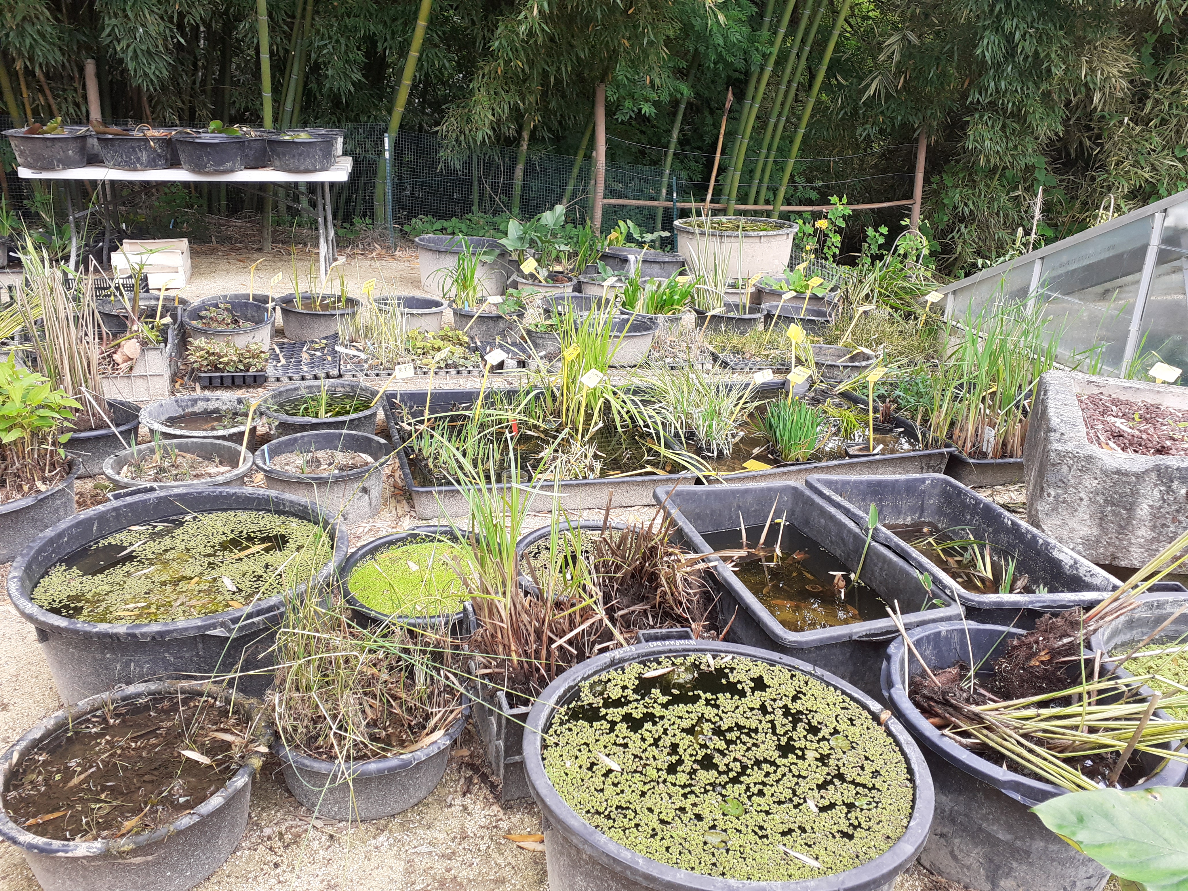 Photo n° 47 de l'avis de Kirenia.e fait le 22/05/2021 à 17:27