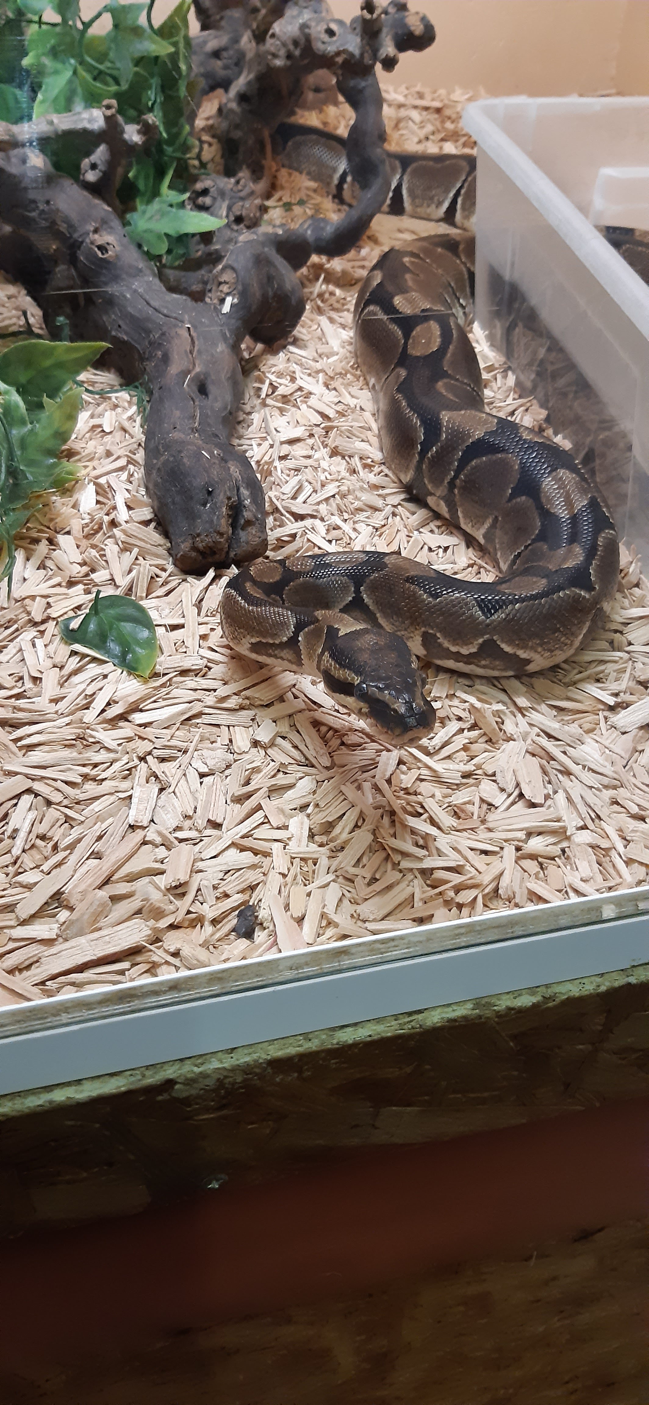 Photo n° 1 de l'avis de Antho.e fait le 27/05/2023 à 13:07