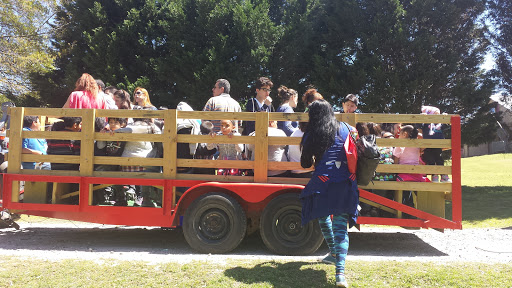 Wedding Venue «Rancho Alegre Farm», reviews and photos, 2225 Givens Rd, Dacula, GA 30019, USA