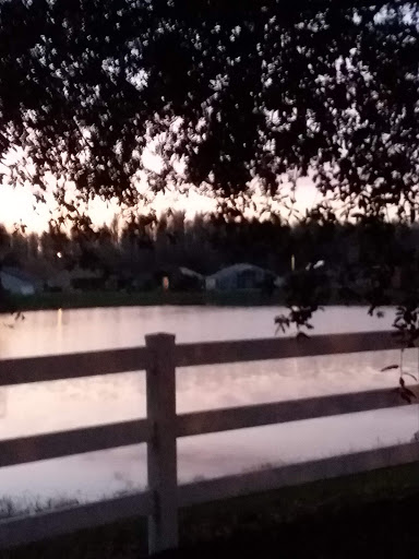 Community Center «Meadow Pointe III Clubhouse», reviews and photos, 1500 Meadow Pointe Blvd, Wesley Chapel, FL 33543, USA