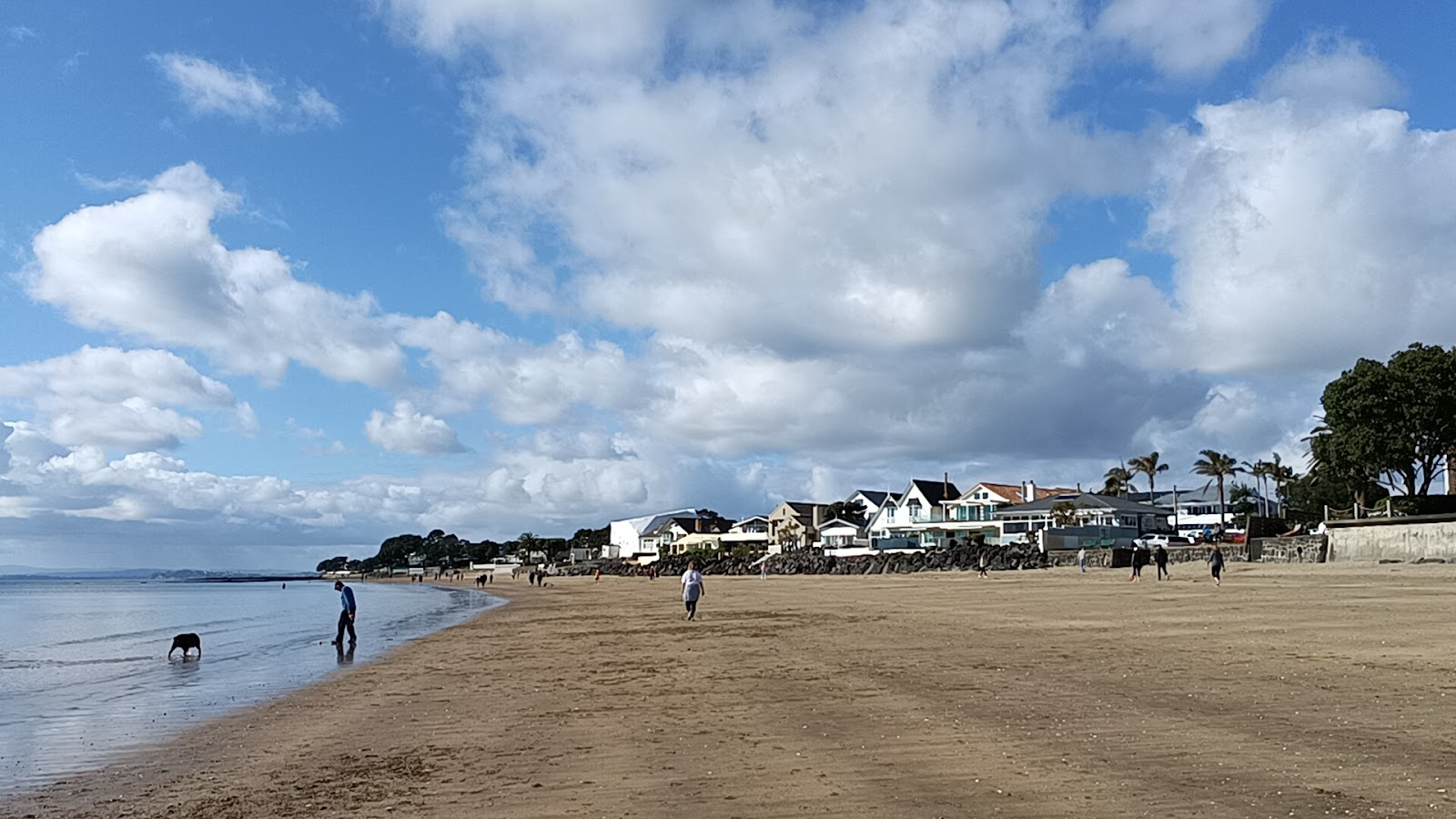 Φωτογραφία του Milford Beach με μακρά ευθεία ακτή