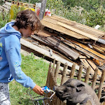 Photo n°5 de l'avis de Nicco.a fait le 19/08/2022 à 17:03 sur le  Malga Frattasecca à Peio Fonti