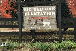 Big Red Oak Plantation image